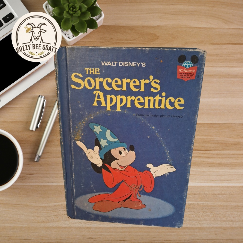 Vintage 1973 Walt Disney The Sorcerer's Apprentice Hardcover Book Fantasia